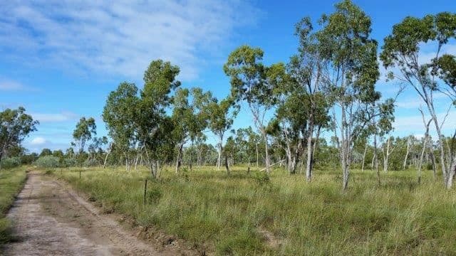 " Rocky Downs", Charters Towers City, QLD 4820, Charters Towers City - Thumbnail 2