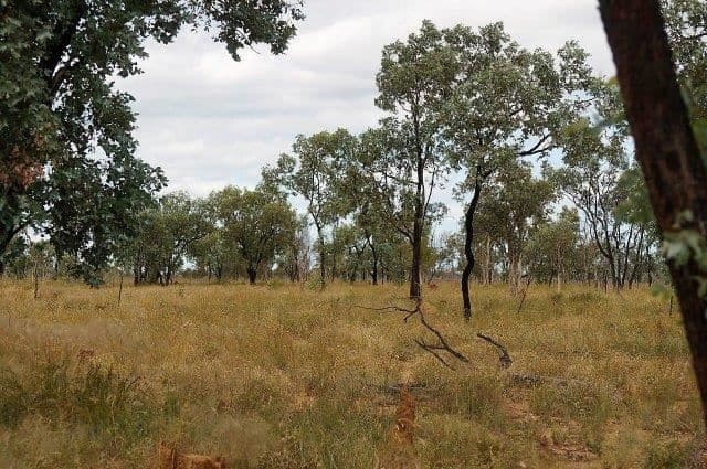 " Rocky Downs", Charters Towers City, QLD 4820, Charters Towers City - Thumbnail 4