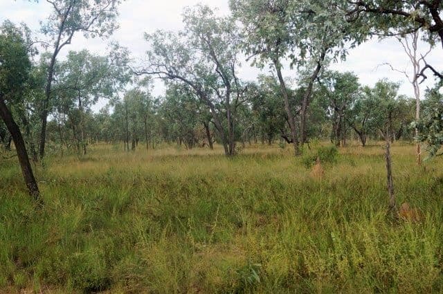 " Rocky Downs", Charters Towers City, QLD 4820, Charters Towers City - Thumbnail 5