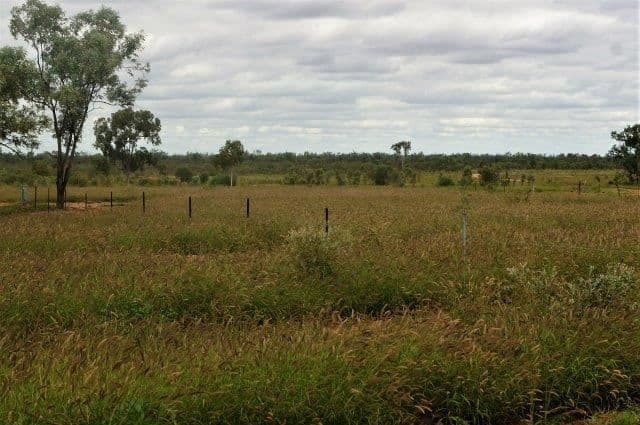 " Rocky Downs", Charters Towers City, QLD 4820, Charters Towers City - Thumbnail 6