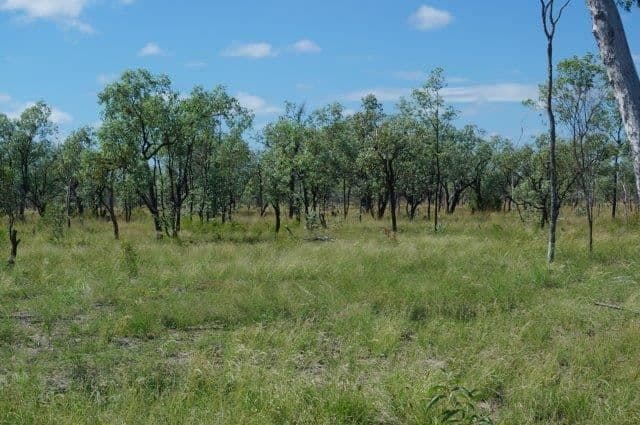 " Rocky Downs", Charters Towers City, QLD 4820, Charters Towers City - Thumbnail 7