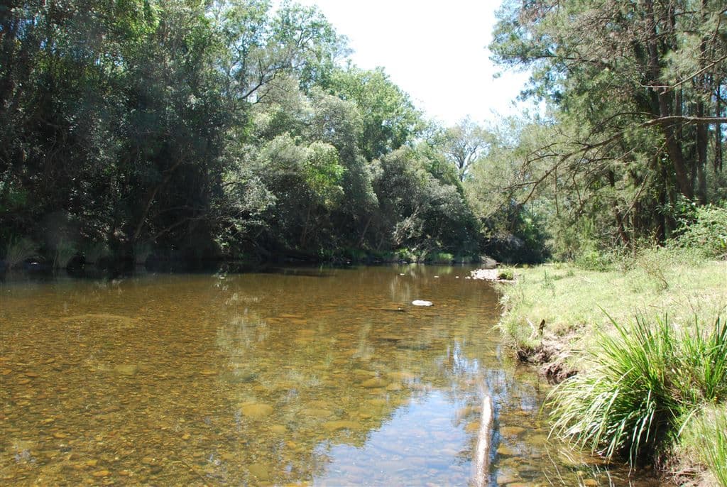 Wauchope NSW, Wauchope - Image 1