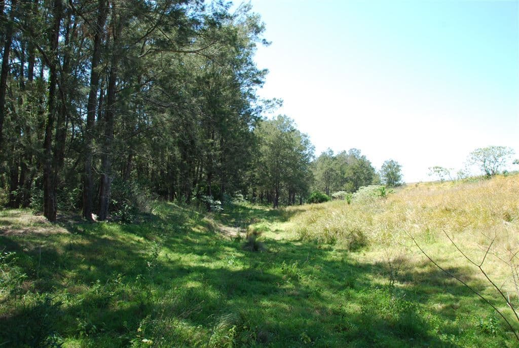 Wauchope NSW, Wauchope - Thumbnail 5