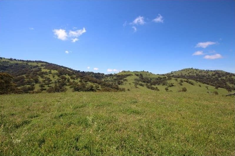 924 Middle Creek Rd, "Faversham", Merriwa, NSW 2329, Merriwa - Image 1