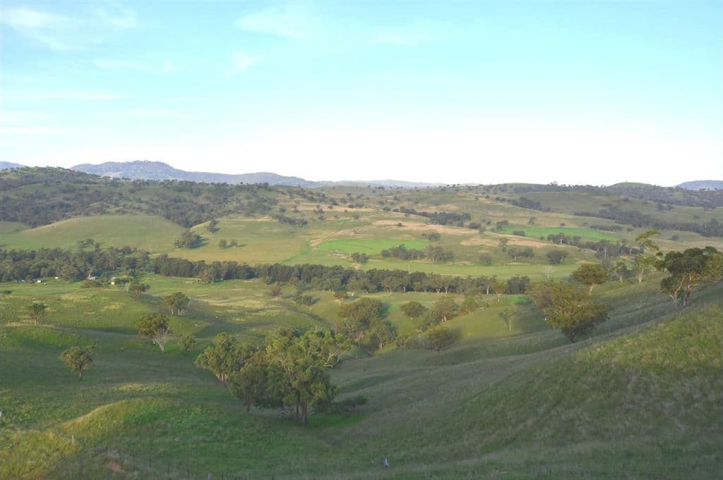 924 Middle Creek Rd, "Faversham", Merriwa, NSW 2329, Merriwa - Thumbnail 5