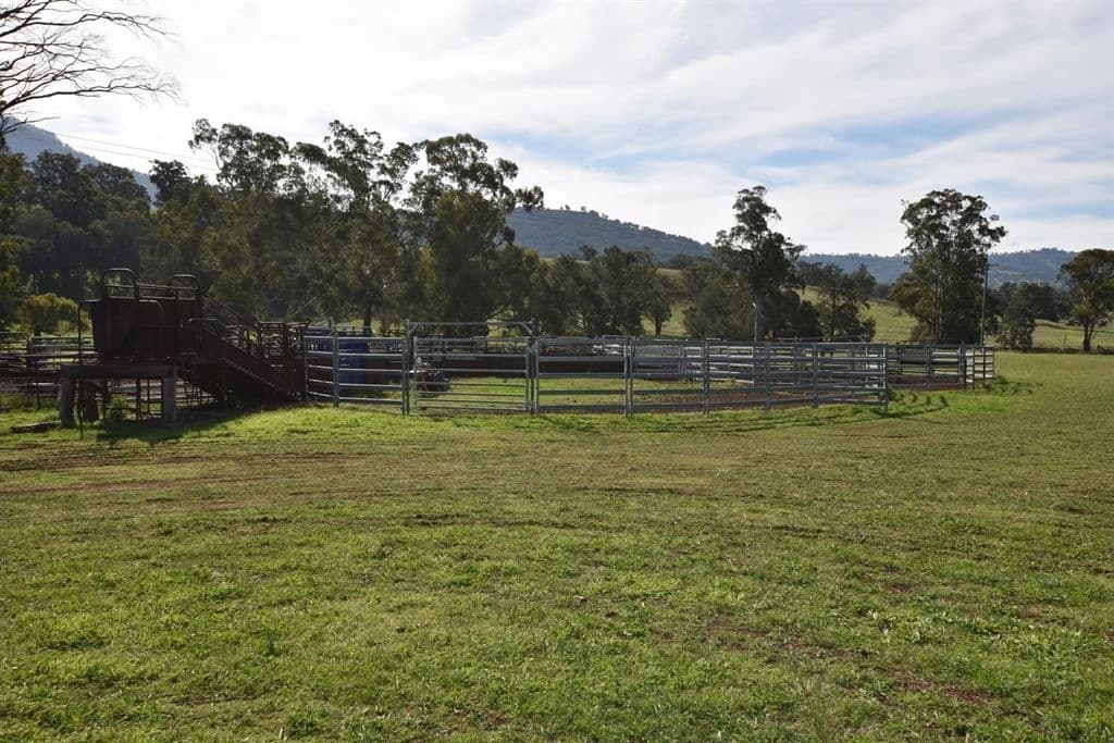 924 Middle Creek Rd, "Faversham", Merriwa, NSW 2329, Merriwa - Thumbnail 6