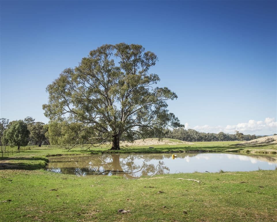 1153 Geodetic Road Molka, Euroa, VIC 3666, Euroa - Thumbnail 2
