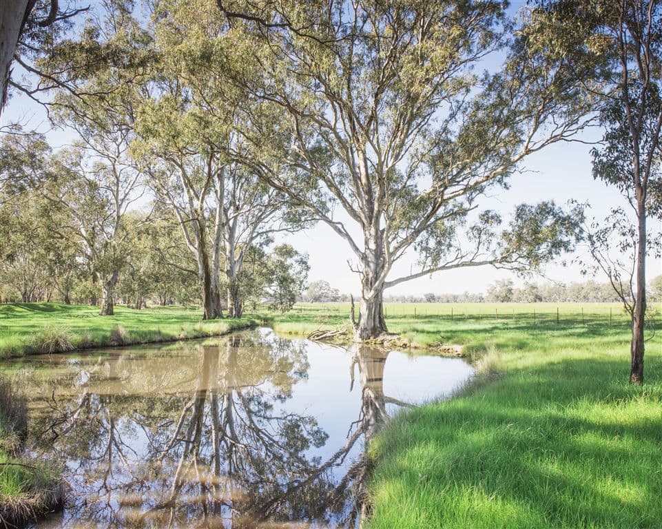 1153 Geodetic Road Molka, Euroa, VIC 3666, Euroa - Thumbnail 6