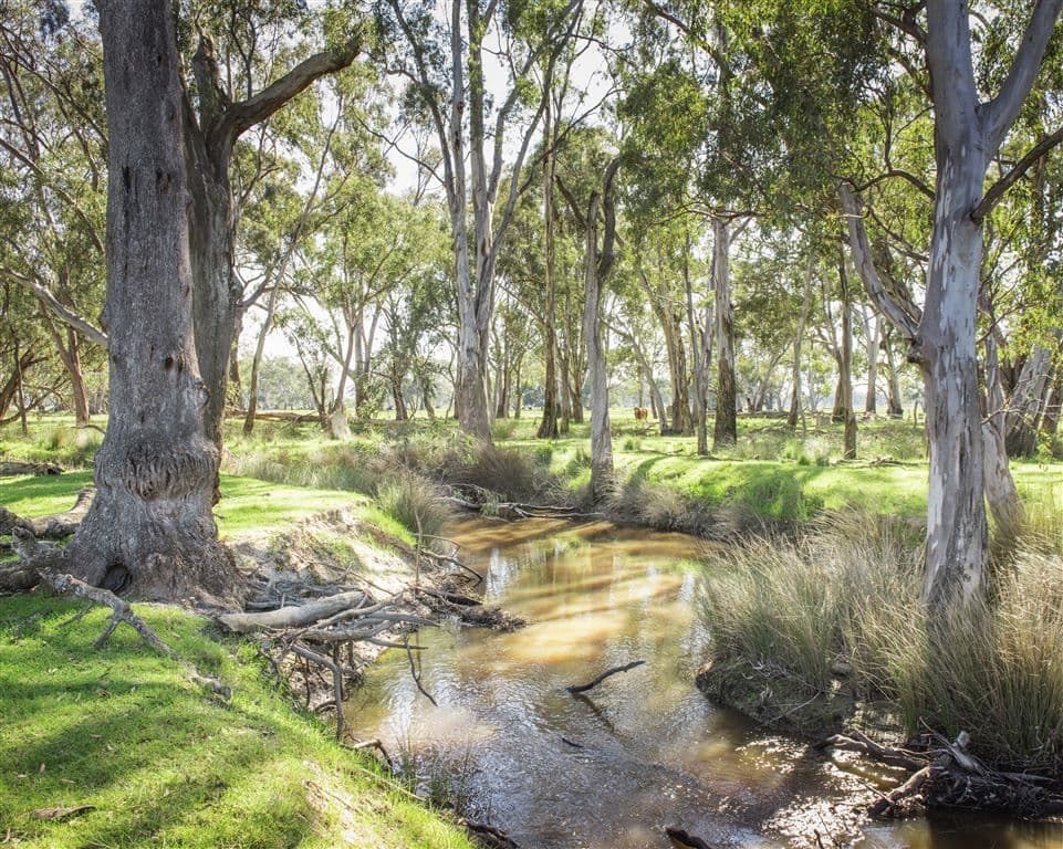 1153 Geodetic Road Molka, Euroa, VIC 3666, Euroa - Thumbnail 8
