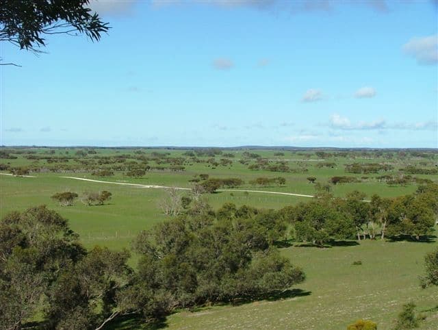 "Illalong"/879 Napper Road, Keith, SA 5267, Keith - Image 1