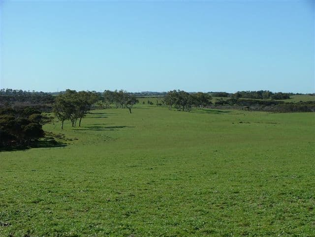 "Illalong"/879 Napper Road, Keith, SA 5267, Keith - Thumbnail 3
