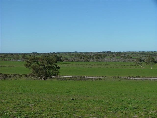 "Illalong"/879 Napper Road, Keith, SA 5267, Keith - Thumbnail 4