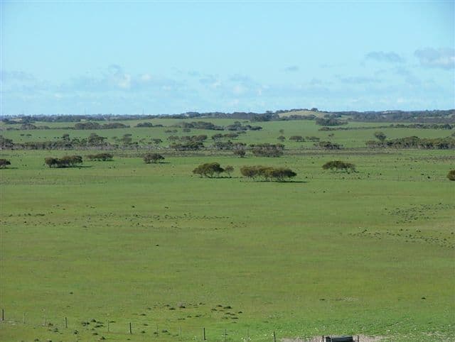 "Illalong"/879 Napper Road, Keith, SA 5267, Keith - Thumbnail 5