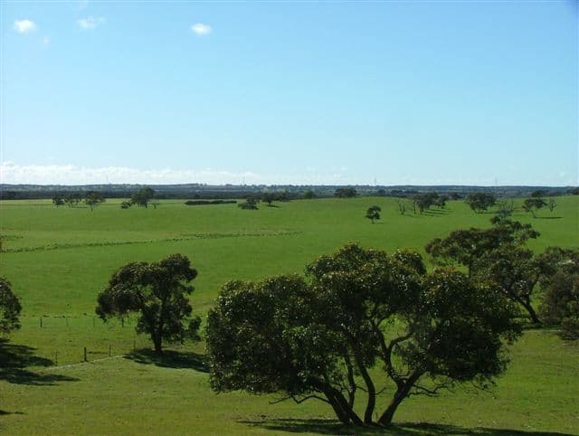 "Illalong"/879 Napper Road, Keith, SA 5267, Keith - Thumbnail 6