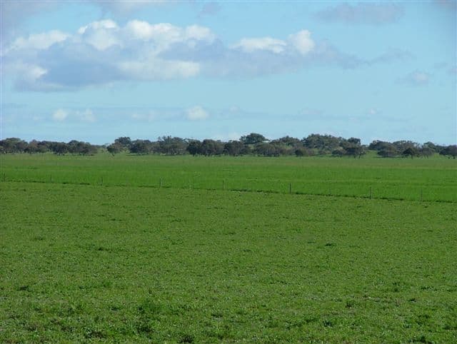 "Illalong"/879 Napper Road, Keith, SA 5267, Keith - Thumbnail 7