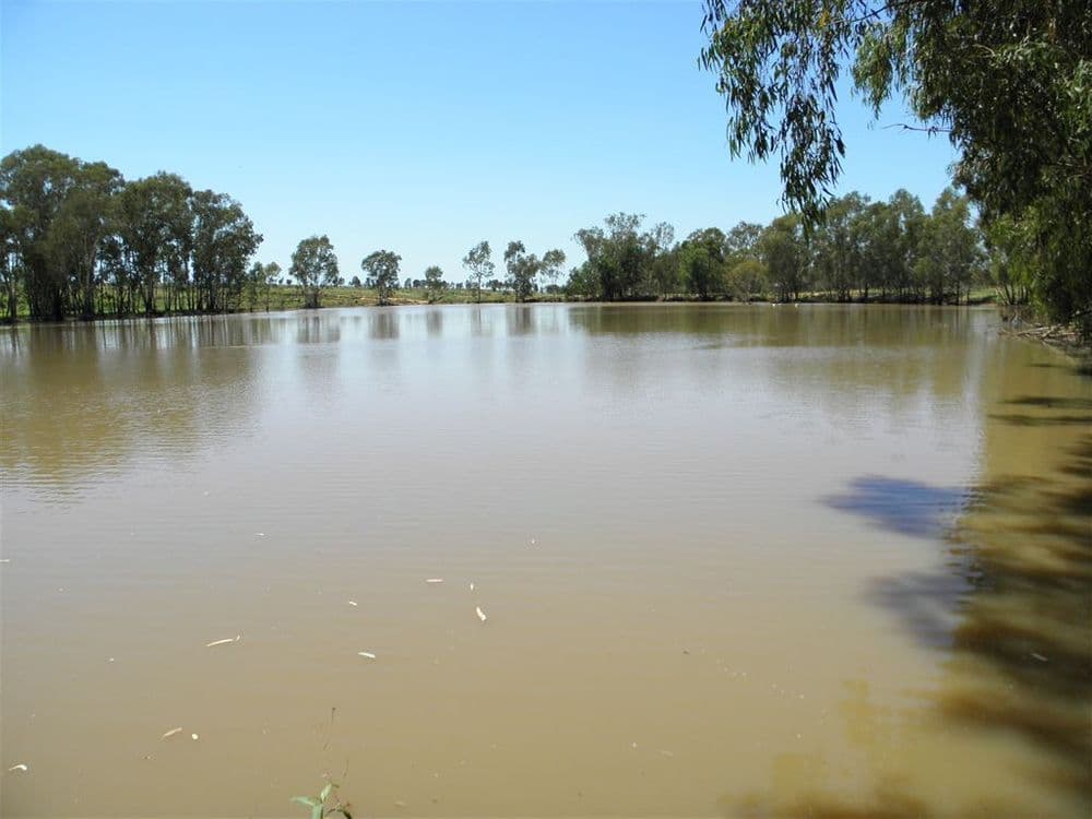 " Spring Creek", Emerald, QLD 4720, Emerald - Thumbnail 3