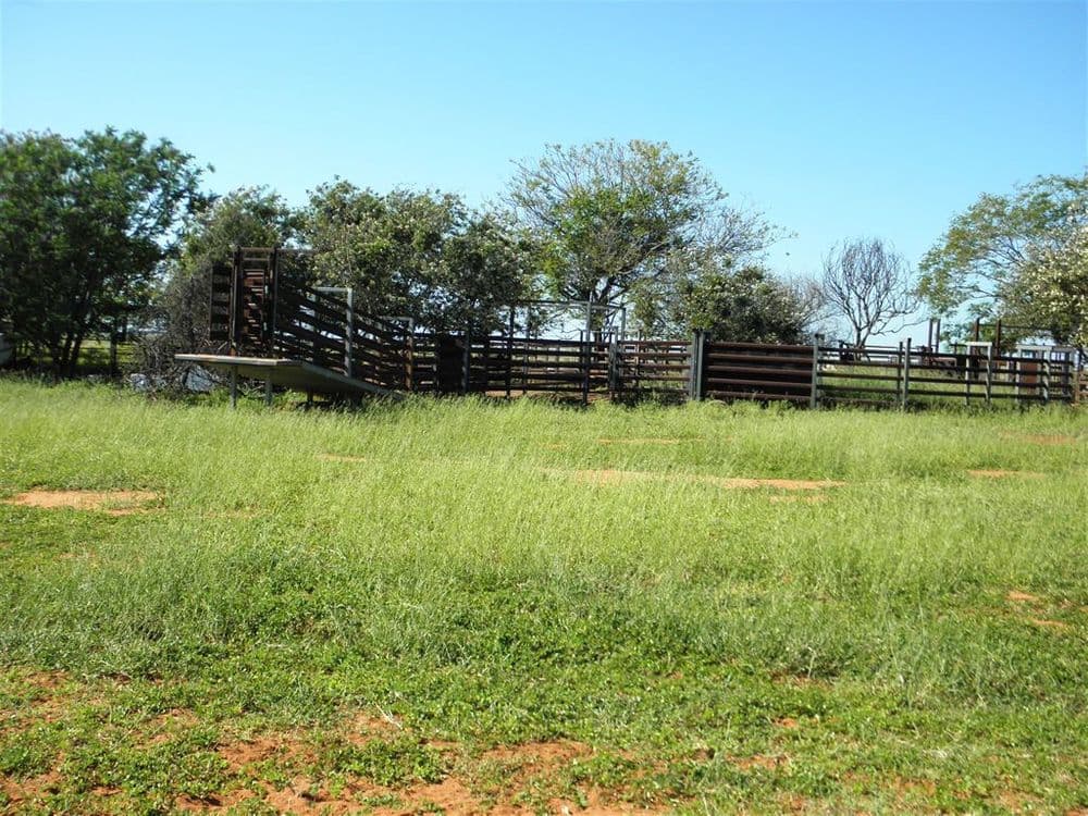 " Spring Creek", Emerald, QLD 4720, Emerald - Thumbnail 5