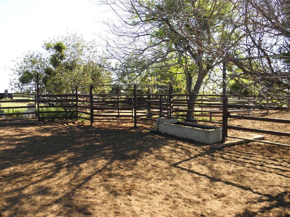 " Spring Creek", Emerald, QLD 4720, Emerald - Thumbnail 7