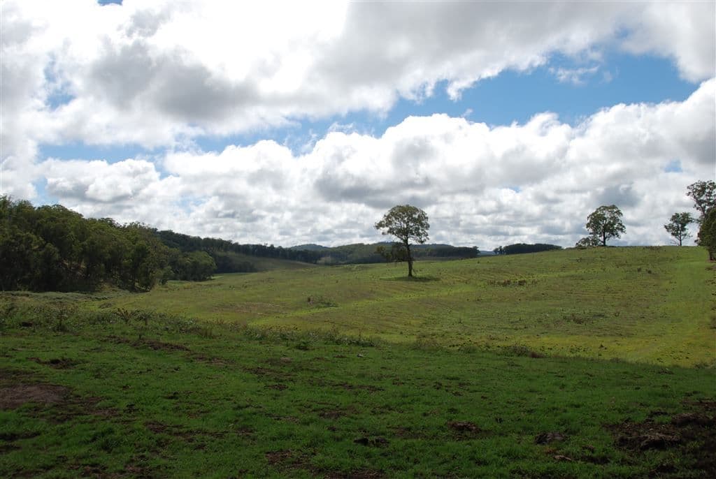 Walcha NSW, Walcha - Image 1