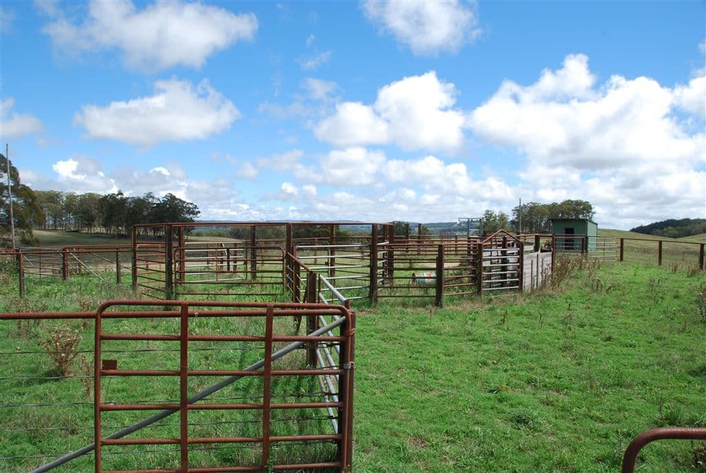 Walcha NSW, Walcha - Thumbnail 2