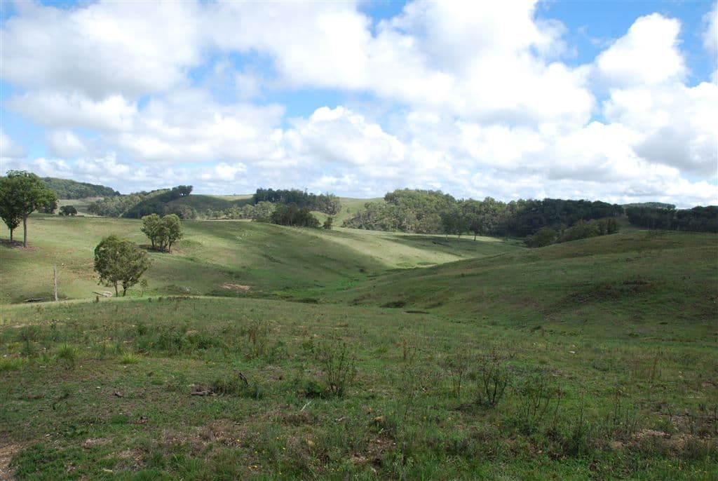 Walcha NSW, Walcha - Thumbnail 4