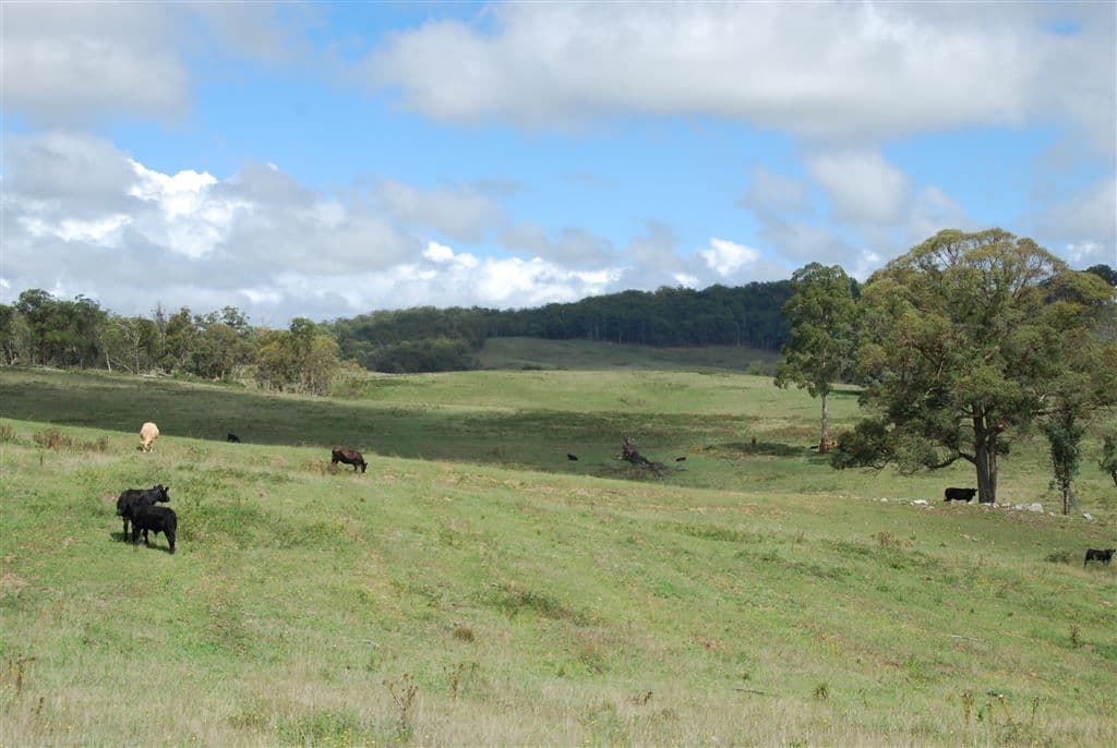 Walcha NSW, Walcha - Thumbnail 6