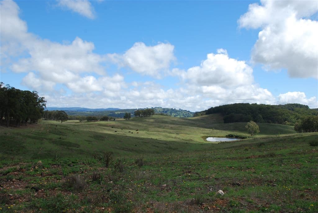 Walcha NSW, Walcha - Thumbnail 7