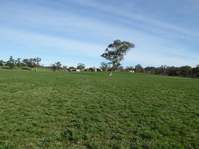 3373 Naracoorte Road, Bordertown, SA 5268, Bordertown - Thumbnail 7