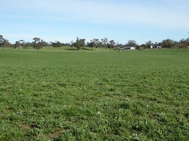 3373 Naracoorte Road, Bordertown, SA 5268, Bordertown - Thumbnail 8