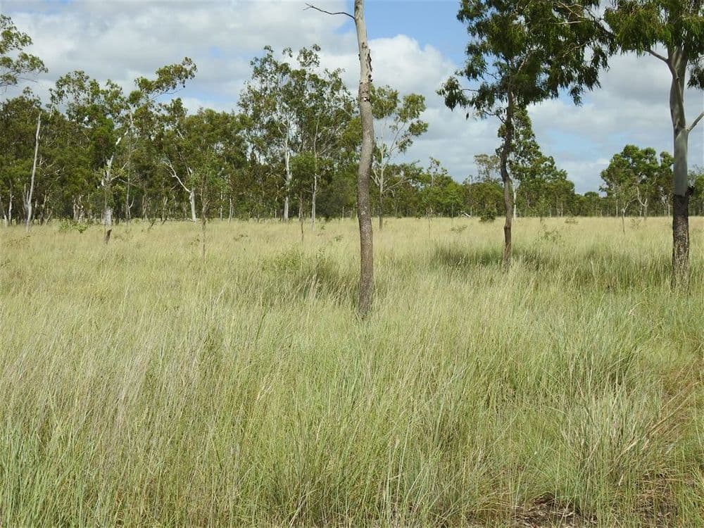 455 Raspberry Creek Road, Yaamba, QLD, 4704, Yaamba - Thumbnail 7