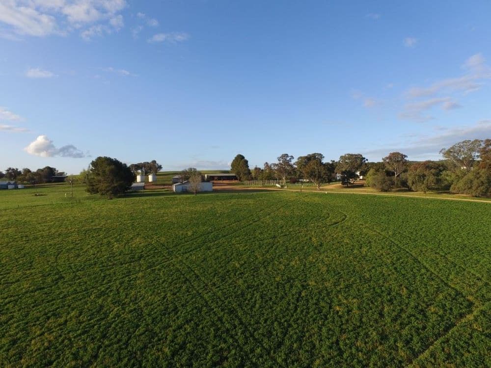 Grenfell NSW, Grenfell - Thumbnail 5