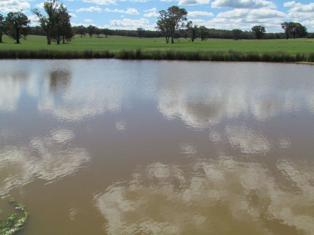 Grenfell NSW, Grenfell - Thumbnail 8