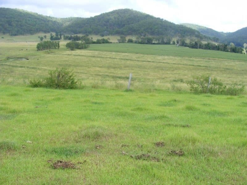 120 Pagans Flat Road, Pagans Flat via, Casino, NSW 2470, Pagans Flat Via - Thumbnail 2