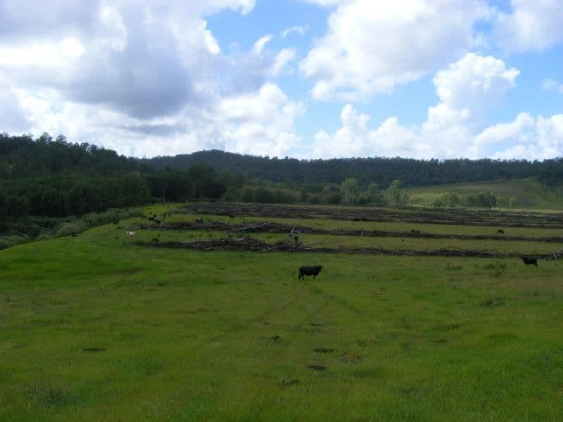 120 Pagans Flat Road, Pagans Flat via, Casino, NSW 2470, Pagans Flat Via - Thumbnail 6