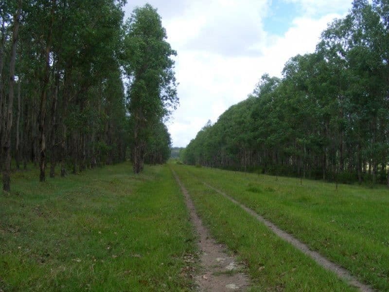 120 Pagans Flat Road, Pagans Flat via, Casino, NSW 2470, Pagans Flat Via - Thumbnail 8