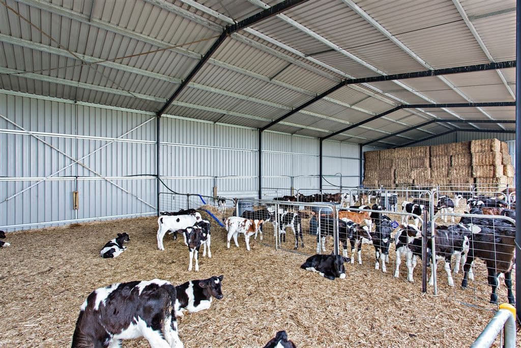 90 Foley's Road, Yanakie, VIC 3960, Yanakie - Thumbnail 4