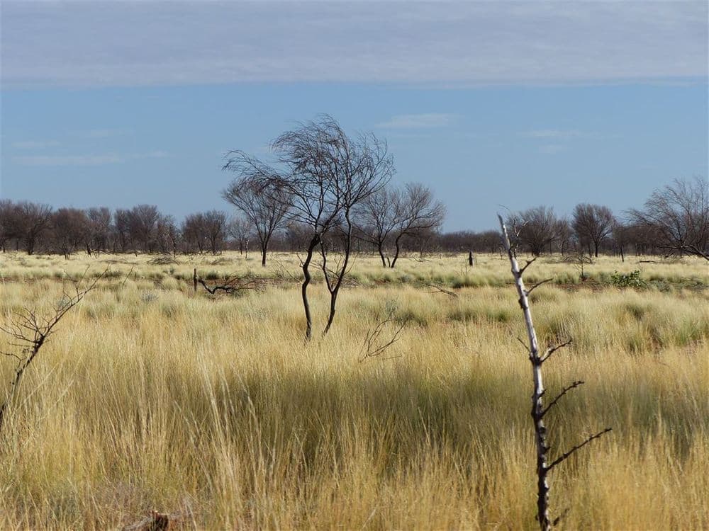 . "Besm", Thargomindah, QLD 4492, Thargomindah - Thumbnail 3