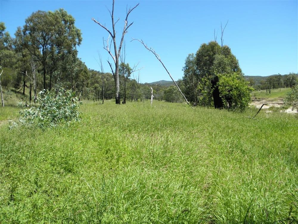 "Billaboo ", Emerald, QLD 4720, Emerald - Thumbnail 3