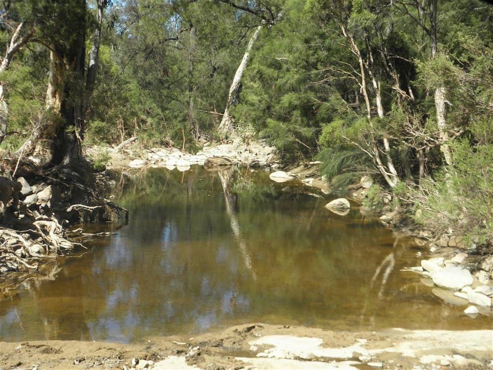 "Billaboo ", Emerald, QLD 4720, Emerald - Thumbnail 4