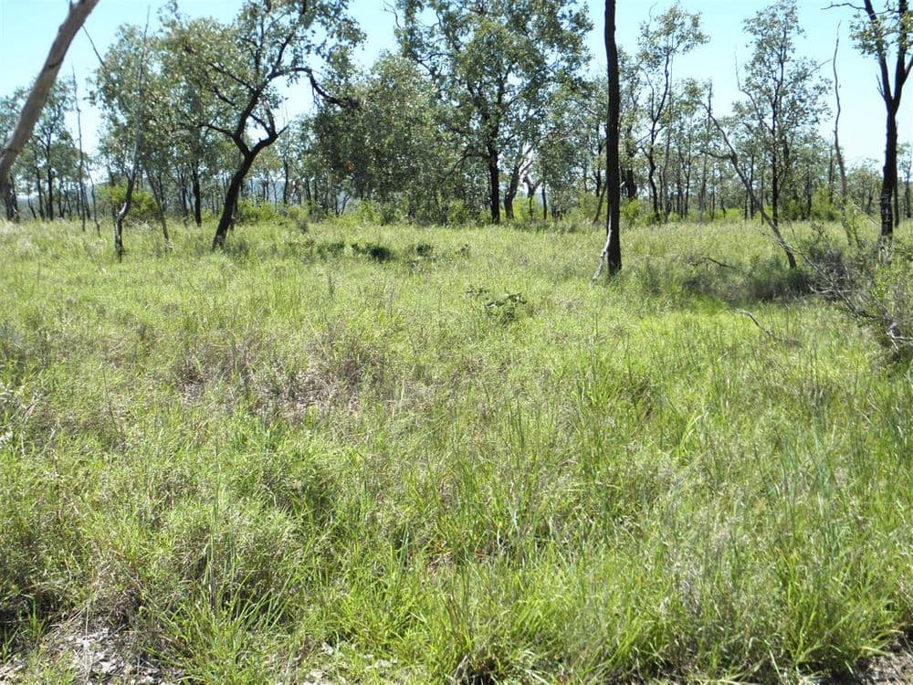 "Billaboo ", Emerald, QLD 4720, Emerald - Thumbnail 5