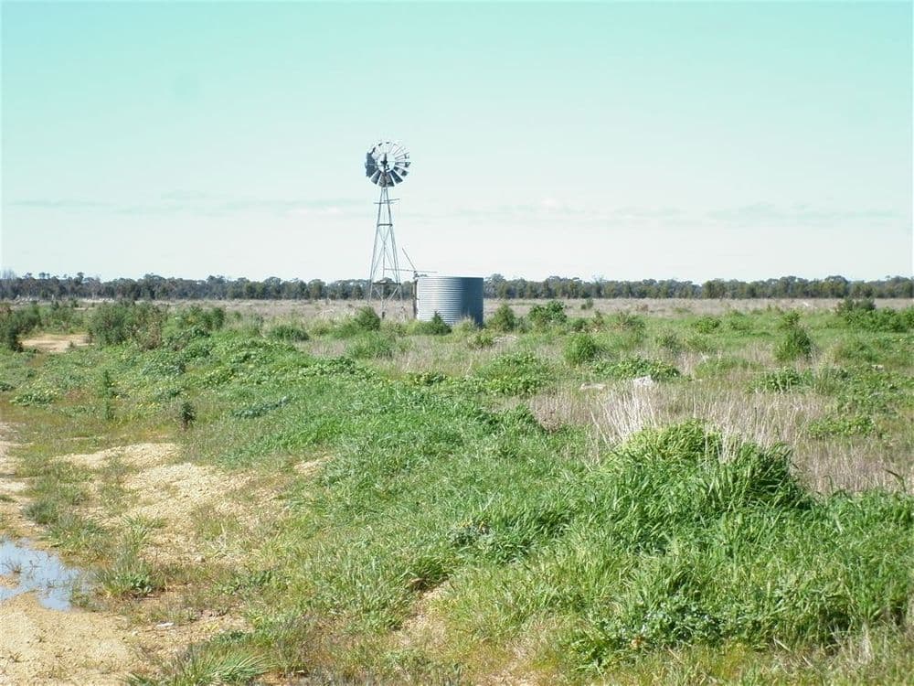 Pitts & Tregoweth, Lucindale, SA 5272, Lucindale - Image 1
