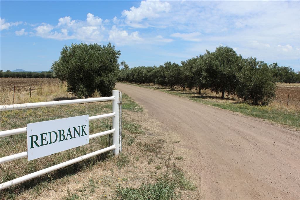 "Redbank"/80 Redbank Rd, Gunnedah, NSW 2380, Gunnedah - Thumbnail 2