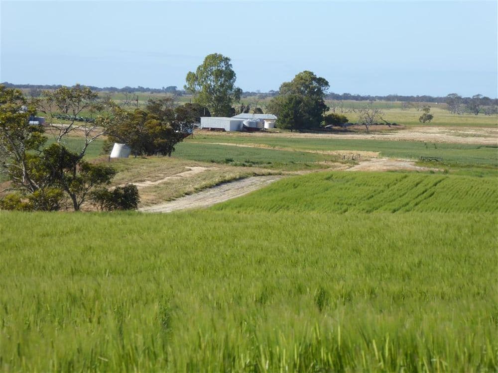 2117 Senior Road, Bordertown, SA 5268, Bordertown - Thumbnail 4
