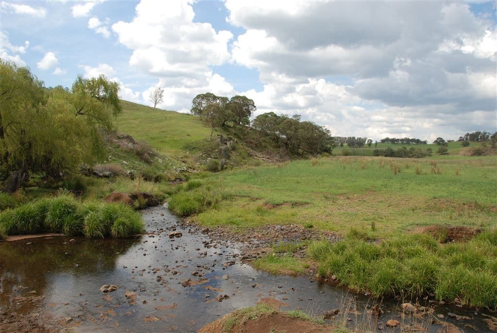 Walcha NSW, Walcha - Image 1