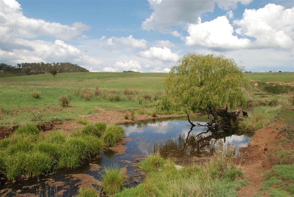 Walcha NSW, Walcha - Thumbnail 3