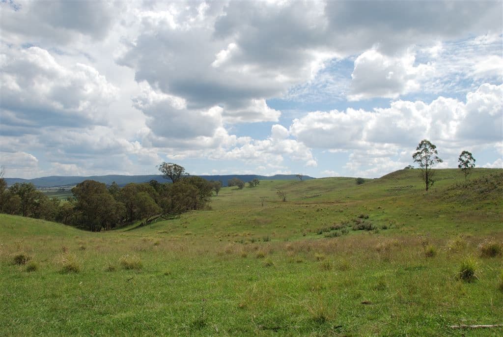Walcha NSW, Walcha - Thumbnail 5