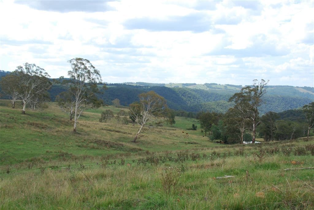 Walcha NSW, Walcha - Thumbnail 7