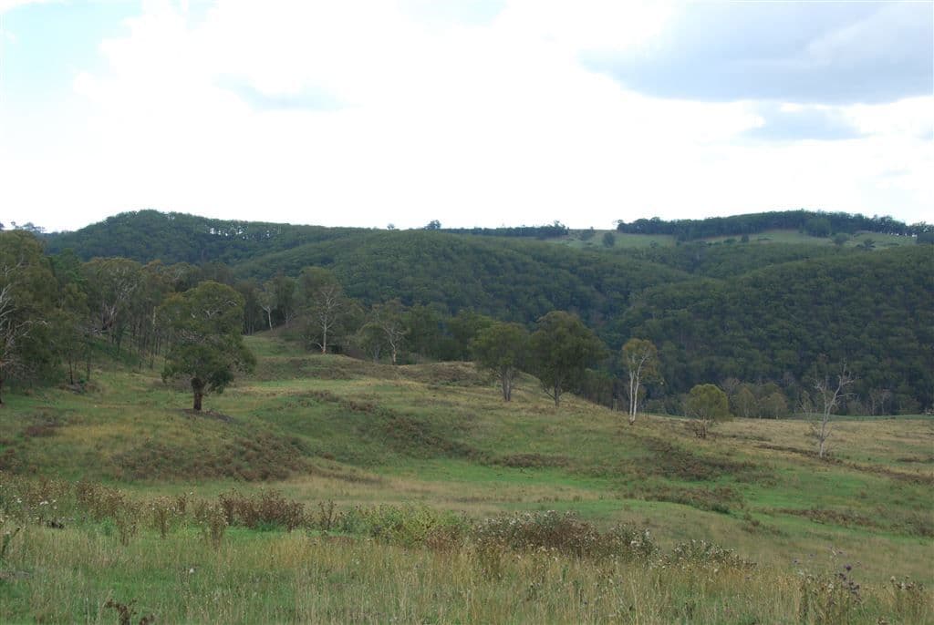 Walcha NSW, Walcha - Thumbnail 8
