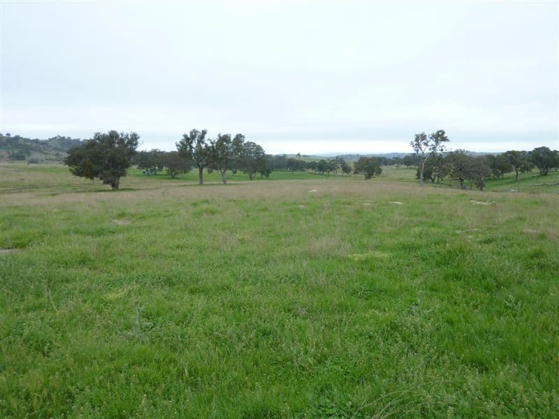 Dunoon/4075 Boorolong Road, Armidale, NSW 2350, Armidale - Thumbnail 2