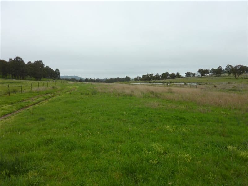 Dunoon/4075 Boorolong Road, Armidale, NSW 2350, Armidale - Thumbnail 6
